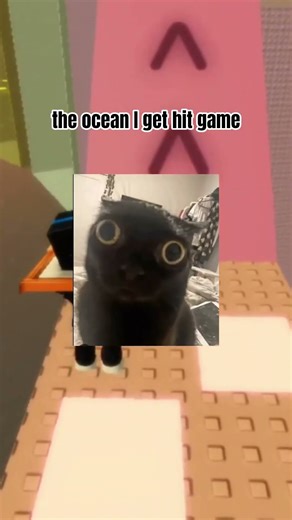 “Roblox disconnects you right before you win 😭” #memes #relatable #roblox #rant