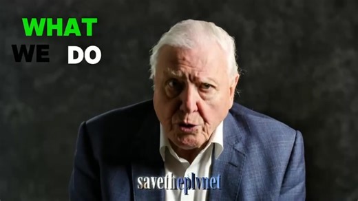 Take Action Against Climate Change Today