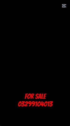 qurbani bull #03299104013 #anima