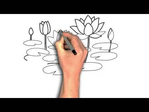 Easy to draw lotuses in pond drawing image step by step