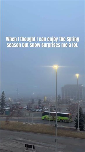 Spring when? 😭 #calgary #weather #lifeincanada