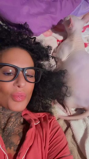 Adopting Sphynx Kittens in Texas: Your Guide