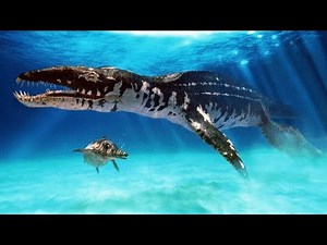 Predator X Documentary