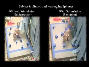 Scientists Invent Real Luke Skywalker Artificial Hand