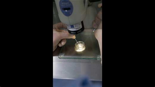 8 Babies Born In The UK Using 3-Person IVF Technique.