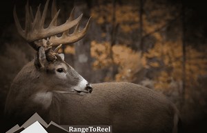 The Best Blood Tracking Lights For Deer Hunting - RangetoReel