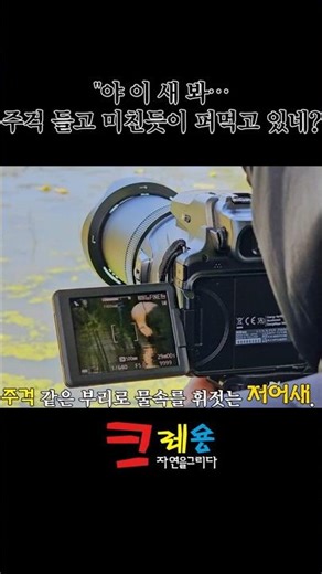 “숟가락 들고 미친듯이 퍼먹는 새 등장” #탐조 #birds#저어새