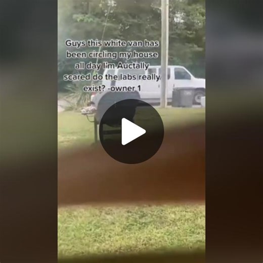 Terrifying Telekinetic Experiment Experience | Lab Van