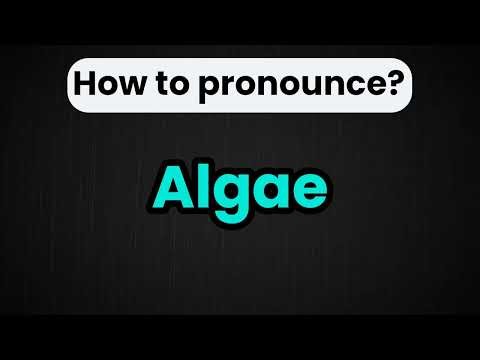 Algae Pronunciation | How To Say Algae