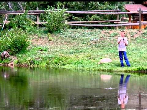 Cherokee Park Ranch - Colorado Dude & Guest Ranch Association - All-Inclusive Ranch in CO