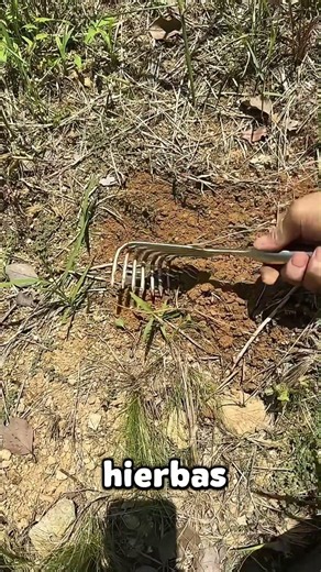 The last garden tool you’ll ever need to buy 🪴