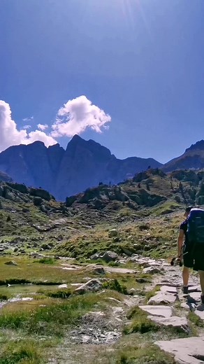 Navy Yorel sur TikTok