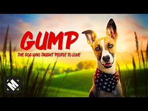 Gump | Free Family Adventure Movie | Full Dog Movie | MOVIESPREE
