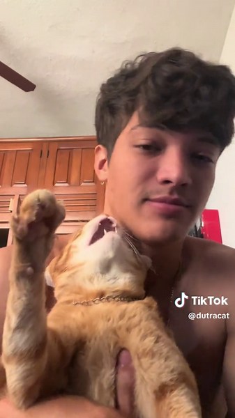 #funnycat #catsoftiktok #gatostiktok #catlover #gatosengraçados | Funny Cat Clips