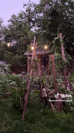 Moonlit✨Magic IN THE GARDEN! Did you know the garden comes alive in a different way at dusk?! For one the incredible Moonflower (Datura) begins to open up and welcome night visitors and white flowers, especially, seem to glow. Its magical and a great place for evening reflections 🌙 #backyardgarden #magicalgarden #magical #moonlight #gardeninglife #creativeliving #gardendesign #gardening #dailymagic #enchanted