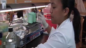 Immunohistochemistry Protocol Day 2 of 2