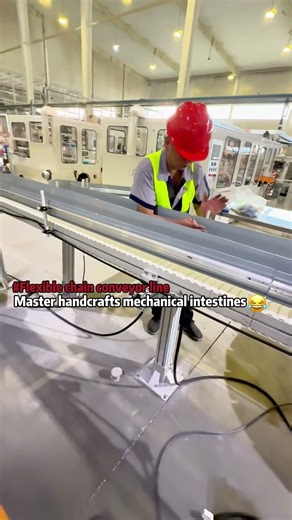 Master handcrafts mechanical intestines.#Flexible chain conveyor line#machine #factory