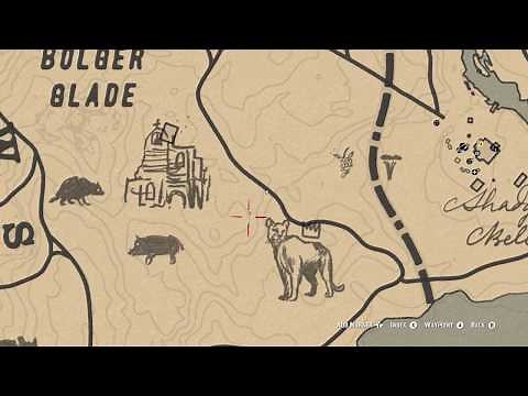 RDR 2: Master Hunter Challenge 10 (Hunt the Legendary Giaguaro Panther)