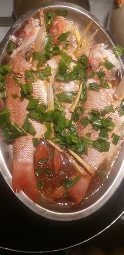 Golden Threadfin Bream Streamed Fish Is Finished Part 4