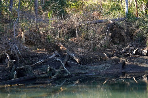 Cost of recovery: Hurricane Helene damage totals $88.4 million in Augusta