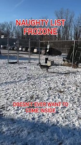 Ingham County Animal Control and Shelter on Reels