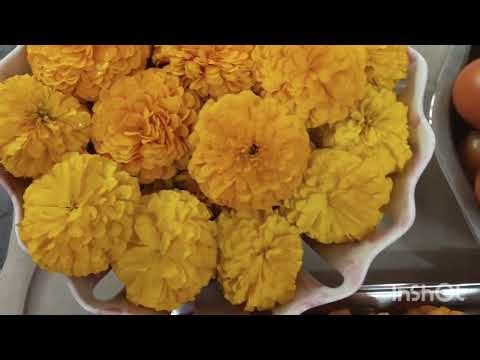 ముద్దు ముద్దు ముద్దబంతి