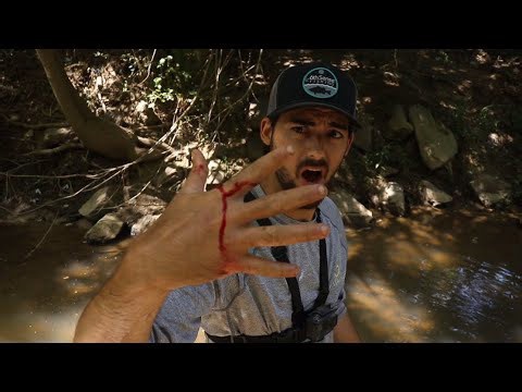 Urban creek wading trip ends with a sudden animal bite
