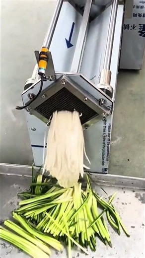 processing vegetable into long thin strips using an automatic cutting machine in a food factory