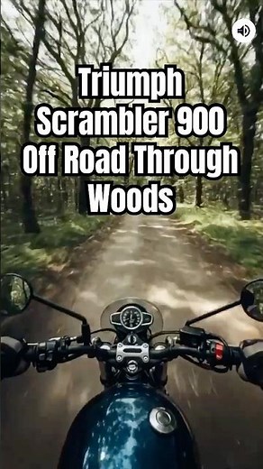 Triumph Scrambler 900 Off Road