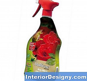 Jardin: Bayer 3 En 1 Systemic Rose Soin Et Utilisation - 2026 | Fr.Interior-Designy.com