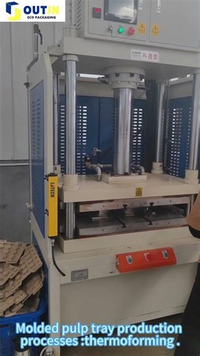 Molded pulp tray production process : thermoforming