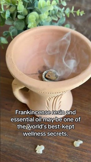 Free Beginner’s Guide to Frankincense #essentialoils #frankincense #luban