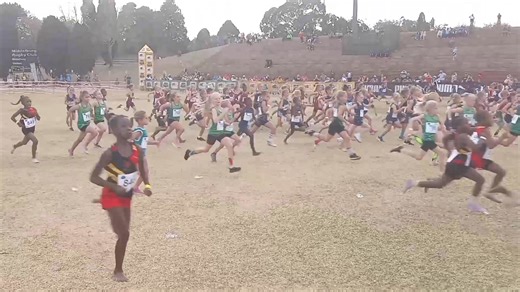 The next generation! 🏃🏽‍♀️‍➡️ Start of the 1km race for 8-year-old girls at the SA Cross Country Championships in Middelburg. Let's go girls! 🇿🇦 | BackTrack Sports