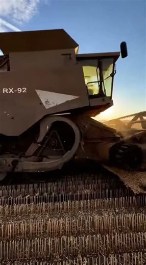 Feeding the Future, One Row at a Time”#SilageSeason #AgriLife #SustainableFarming