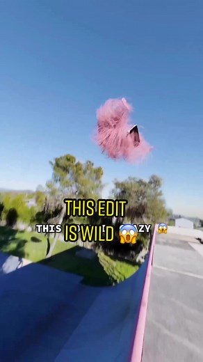 The coolest skateboarding edit 🛹 (tonqart/IG) #skateboarding #skateboardingisfun #skateboarder