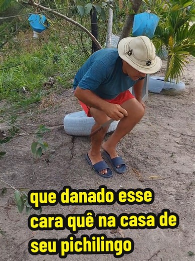 que danado esse cara quê na casa de seu pichilingo #tiktok #novelinha