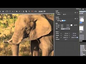 09. Free Shape Mask [EDIUS 6 Feature Showcase]