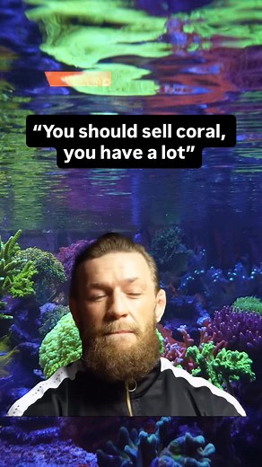 Meanwhile, corals are on the way! 😆 #reeftank #saltwateraquarium | Brightwell Aquatics