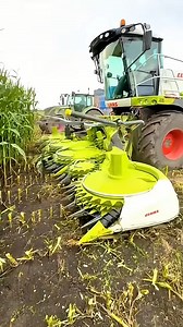 1.6M views · 10K reactions | Silage with the CLAAS Jaguar forage harvester and Fred Walter and Sons | Pro Horizon Farming Content | Facebook