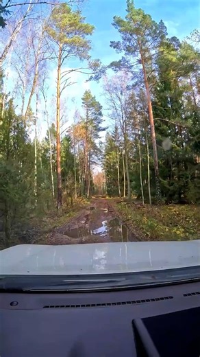 safari.lt Paganyk visureigį Nr.94 Partizanų takais | safari.lt