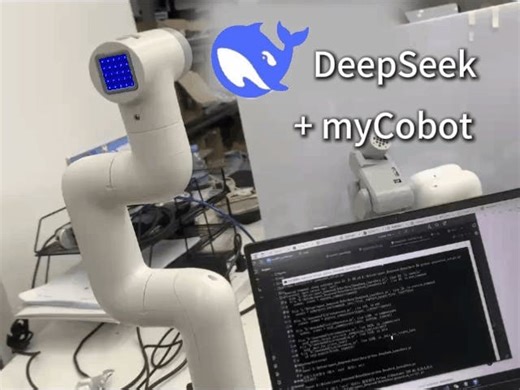AI-Powered Robot Control with a Custom DeepSeek AI Agent