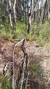 10K views · 68 reactions | IMPORTANT This video shows what two local...