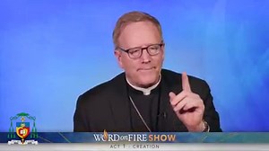 Friends, if you aren't familiar with the sweeping story of salvation, the "theo-drama," you won't fully grasp any particular part of the story. In today's episode "The Word on Fire Show," we unveil the five acts of the biblical drama: Creation, the Fall, the formation of Israel, Jesus Christ, and the Church. A listener asks for some recommended biographies on the life of St. Thomas Aquinas. NOTE: Do you like this podcast? Become a patron and get some great perks for helping, like free books, bon