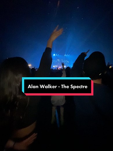 Alan Walker Spectre Live Performance Experience
