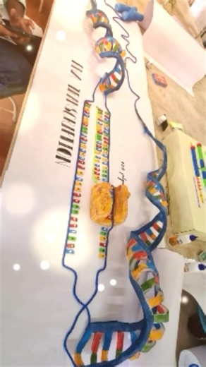 RNA transcription#mbbs#project#shorts