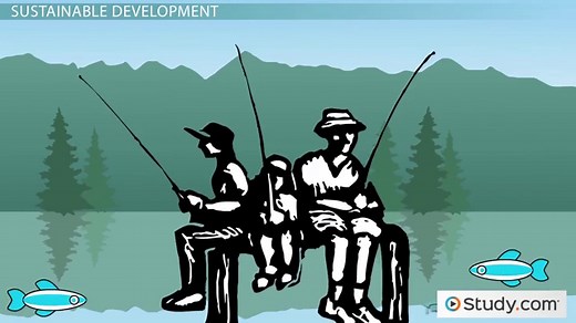 Sustainable Development within Environmental Limits