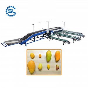 [Hot Item] Mango Blueberry Citrus Fruit Sorting Washing Waxing Drying and Grading Machine