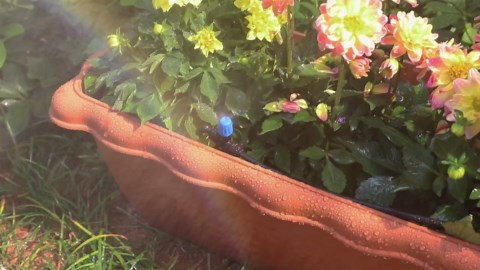 MIXC 65FT Greenhouse Watering System- Quick Efficient Connector Hanging Plant Watering System Automatic Mist Irrigation Kit with 1/4" Blank Tubing and Misting Nozzles