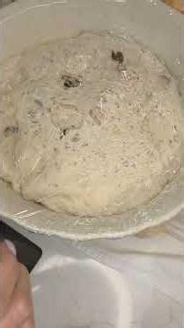 Rustic No Knead Olive Bread