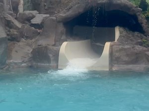 Brad Williams on Reels